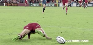 🐢 | RugbyDump