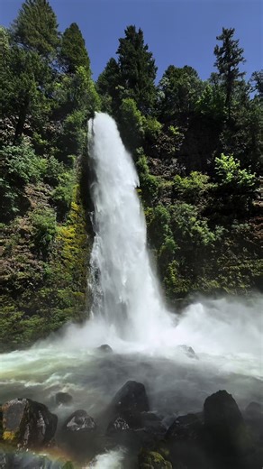 Josue Siníco on TikTok