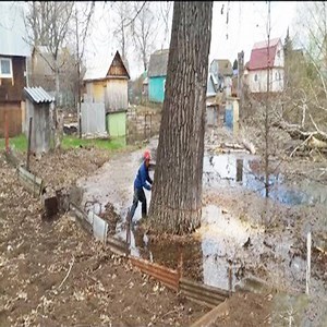 Big tree felling compilation Cr: Machine Color | Machine Color