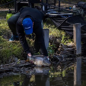 ✅ WĘDZISKA SHIMANO AERO X5 Profesjonalna seria wędzisk Feeder & Match, zaprojektowana przez najlepszych brytyjskich wędkarzy i uzbrojona w wysokiej jakości komponenty. 👉 Lekkie, mocne i responsywne blanki XT60 HPC NANO 👉 Wędziska z serii pokrywają wszystkie techniki łowienia: feeder, float, match, ultra long range… 👉 Super lekkie przelotki antysplątaniowe Seaguide XOG 👉 Uchwyt kołowrotka SHIMANO DPS 👉 Wszystkie wędziska z serii wyposażone w 3 wymienne szczytówki 👉 Rekojeść z korka i pianki