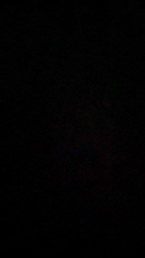 Is it Hard flip Ghetto bird or Hard flip backside revert? HIGH FLYER Polish Trucks Stay Skateboards Ragdoll Development | Egie Chavez