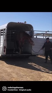 9.2K views · 429 reactions | Meet Freyja! This beautiful girl is one...