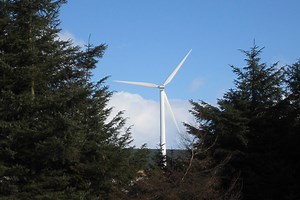 Natural climate solutions aren’t enough