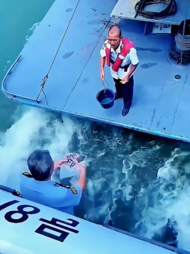 Dangerous Big Waves in the North Sea: Deep Ocean Footage Explained