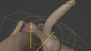 Creating a Spline IK Rig for Dongs in Blender