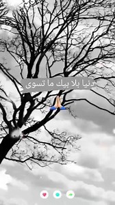 3.3K views · 95 reactions | #SiMo | Chab akil | Facebook