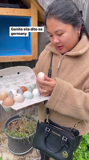 Ilalagay mo lang sa box ang iyung bayad dahil walang nagbabatay. #local #egg #farm #pearlyalms #germany #honestystore #honestyshop #reelsfb reelsvideo #honesty | Pearly Alms