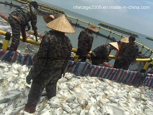 [Hot Item] Open Deep Sea Salmon Fish Farm Cage