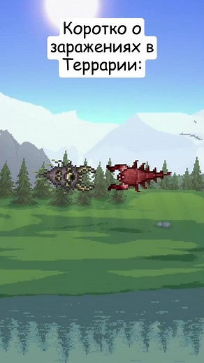 Красная таблетка или синяя таблетка — мемы Terraria Calamity