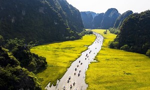 Hai ngày thăm Tam Cốc - Bích Động mùa lúa chín