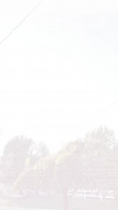 We went Hog Wild for the Year of Pork this year! 🐷🥓 As we celebrate Pork Month this October, we’re grateful for the @tnporkproducers and all they do to help us Bacon Memories! | Wilson County Fair - TN State Fair