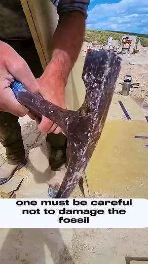 Finding a fossil inside a slab