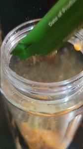 Mango Barley Shake 🥭🌱