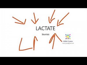 Medicine Lactate Sources Lactic Acidosis Types Causes Metabolic ABG HyperLactatemia treat mcq
