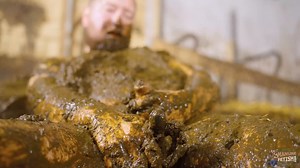 Clip from "Franky in the Creamy Slurry" with @ManureFrankyavailable on: https://t.co/MWMX9alGG9#manure #cowshit #cowshed