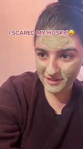 I scared her  #huskyhowls #siberianhuskies #doggylove | Maya Husky | Facebook