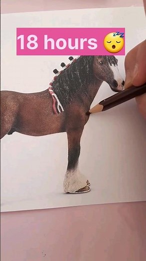 Drawing the Clydesdale gelding, took forever !!! Only 5 mins 🤣 || Grayci Grayci