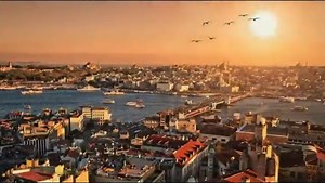 Book is in very good condition and may include minimal underlining highlighting. The book can also include "From the library of" labels. May not contain miscellaneous items toys, dvds, etc. . We offer 100% money back guarantee and 24 7 customer service.