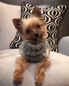 Jonathan Adler on Reels