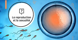 La reproduction et la sexualité