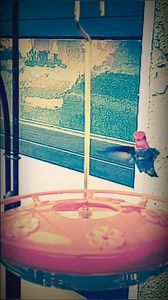 47 reactions | Good morning beautiful... | Culinary Anarchy | Facebook