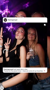 Flamingo Royal on Reels