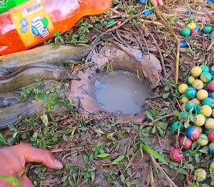 Bomb Plastic vs Coca Cola , Fanta & Sprite Catch A lot of Fish From Underground Hole | Fast foods kh