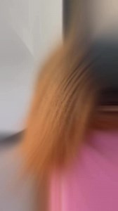 1.7K views · 18 reactions | Healthy Blondes 襤 Services: Custom Color & Microlink Install Extensions: 2 18” Custom Colored Body Wave Bundles #memphissalon #fabellousbeautylounge #memphishairsalon #memphissilkpress #memphisstylist #microlinks #blondehair | Fabellous Beauty Lounge | Facebook