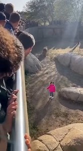 33M views · 592K reactions | BREAKING: Unforgettable Encounter at...