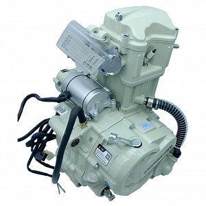 [Hot Item] Motor de Zongshen 200cc Motor de motocicleta antiguo Motor original 200 Motor de ensamblaje de motocicleta de gasolina