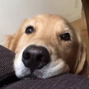 1K views · 89 reactions | Too Adorable | Women's choice | Facebook