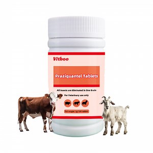 [Hot Item] Veterinary Drug Praziquantel Tablet for Cattle, Sheep and Pigs