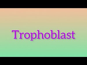 Trophoblast