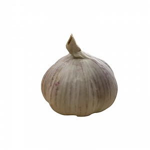 [Hot Item] Bulk Garlic Supplier: Unbeatable Prices for International Buyers