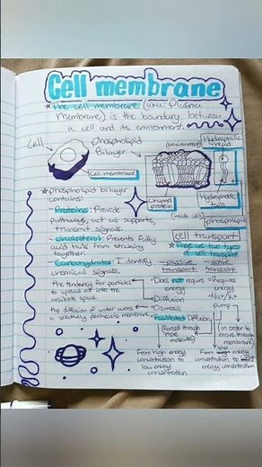 cell membrane by medical 2.0