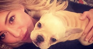 Hilary Duff's Heartbreaking Instagram Shows How Hard It Is To Lose A Pet