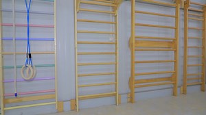 スウェーデンのはしご木製ヨガウォールストールバー理学療法と体操はしご/子供用クライミングフレーム/クライミングフレーム