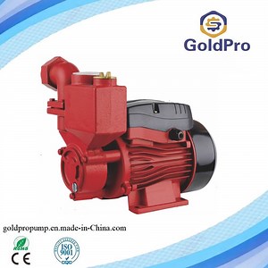 [Hot Item] Wholesale Mini 110/220 Volt Household Water Supply Water Pumps Agricultural Irrigation Water Pumps