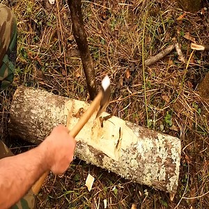 85K views · 1.3K reactions | Solo Overnight Building a Poachers Camp in The Woods and Campfire Ribeye Steak | Reptile49tg | Facebook