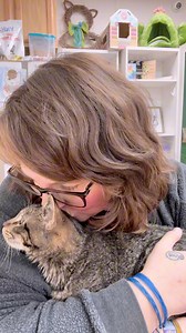 Some updates from The Cattery. It was a hard week. #thecatterycc | The Cattery Cat Shelter