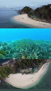 Visiting Coron, Palawan is worth your buck with its stunning seascape and underwater biodiversity! #coronpalawan #reelsvideo #travelreels #diving #Philippines #SkyLodgeResort #itsmorefuninthephilippines | SkyLodge Resort, Coron, Philippines