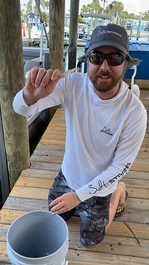 Who needs a rod and reel when you can hand feed the SNOOK?! #saltstrong #snookstrong | Salt Strong