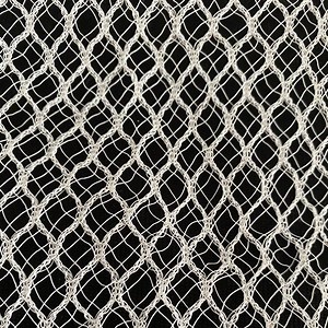 [Hot Item] Heavy Duty Anti Bird Netting for Orchard