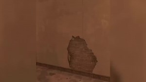 Funny Moments in CS2 Gameplay Highlights