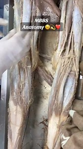 37K views · 282 reactions | ONLY #MEDICAL #LOVERS ❤️ | Medical Lovers | Facebook