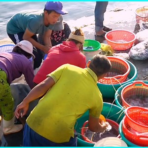 Hải sản tươi sống buổi sáng | Sài Gòn Go