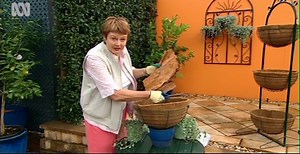 Hanging Baskets - Gardening Australia