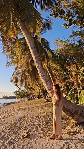 Amazing views in the Dominican Republic beach with  @terci don't forget to book in advance to get some amazing discounts for your summer vacations. ️ | NexusTours | Facebook