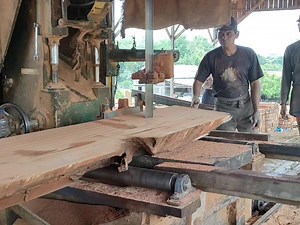 13K views · 239 reactions | cara penggergajian kayu Meranti di pabrik pengolahan kayu #sawmillindonesia #penggergajiankayu #gergajimesin #gergaji #bandsaw #woodworking #sawmill | Sawmill indonesia | Facebook