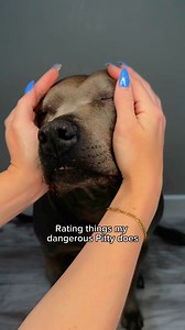 Rating my dangerous Pitty | Ratchy.d.pit